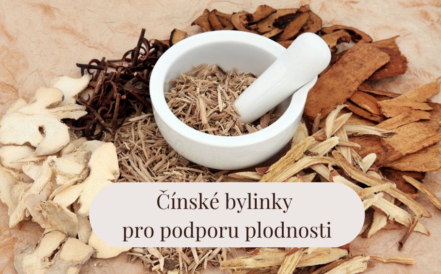 Čínské byliny pro&nbsp;podporu plodnosti