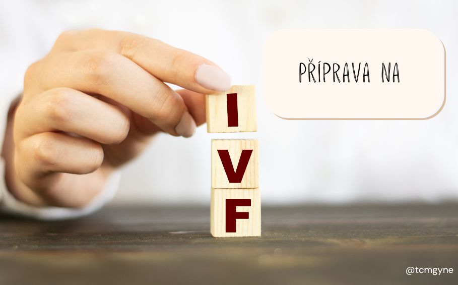 Čínská medicína: Příprava na&nbsp;IVF
